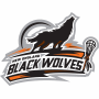 New England Black Wolves