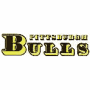 Pittsburgh Bulls