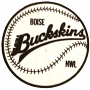 Boise Buckskins