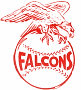 Jamestown Falcons