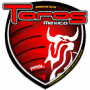 Toros Mexico