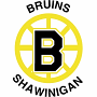 Shawinigan Bruins