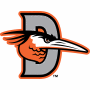 Delmarva Shorebirds