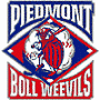 Piedmont Boll Weevils