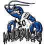 Acadiana Mudbugs