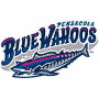 Pensacola Blue Wahoos