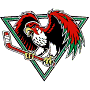 Fresno Falcons