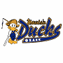 Springfield-Ozark Mountain Ducks