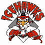 Winston-Salem Icehawks