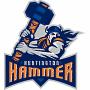 Huntington Hammer