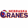 Nebraska Cranes