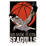 Atlantic City Seagulls