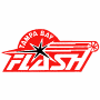 Tampa Bay Flash