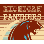 Michigan Panthers