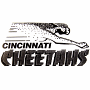 Cincinnati Cheetahs