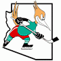 Phoenix Roadrunners