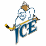 Edmonton Ice