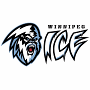 Winnipeg Ice