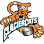 Arkansas Glaciercats