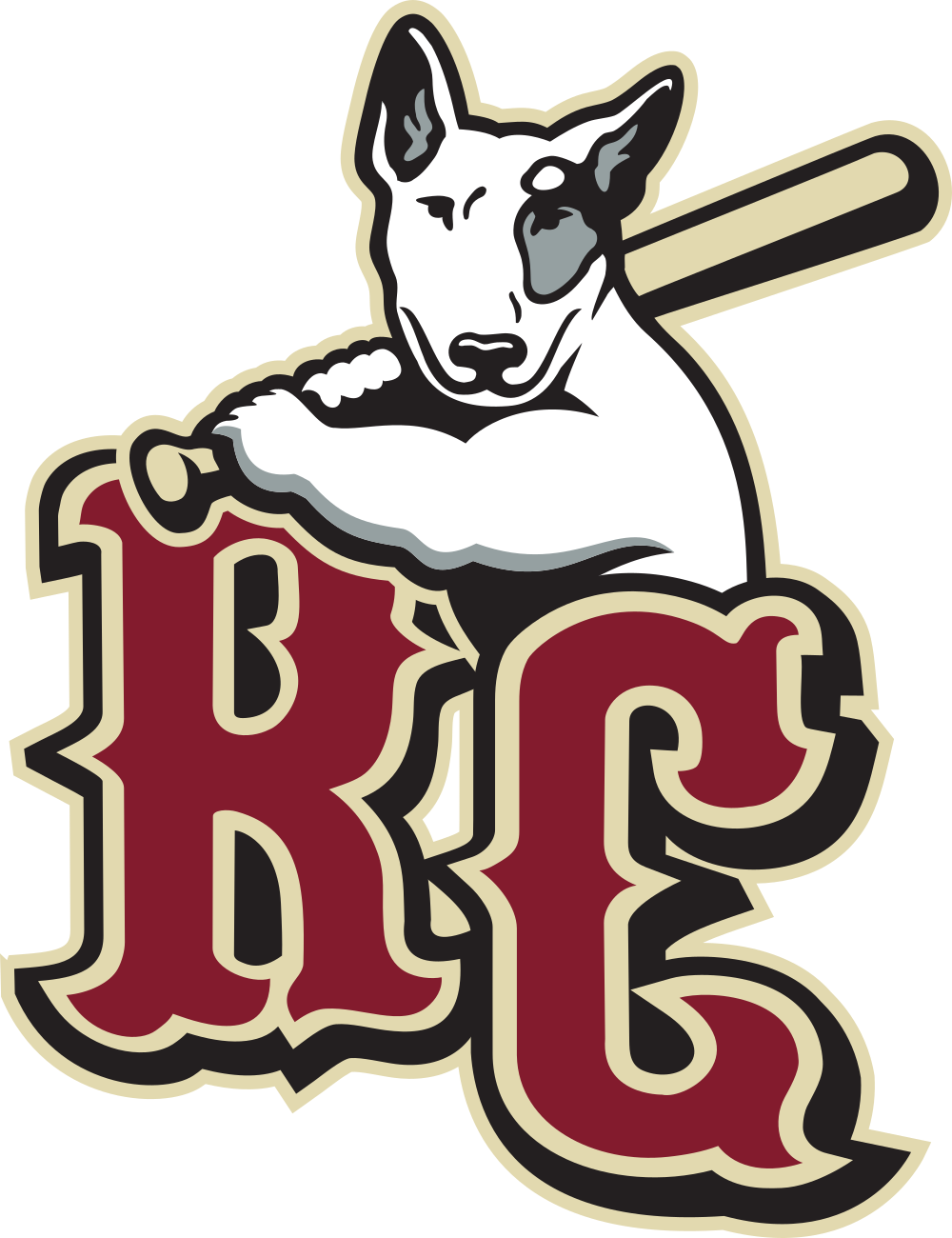 2009 River City Rascals minor league baseball Roster on StatsCrew.com