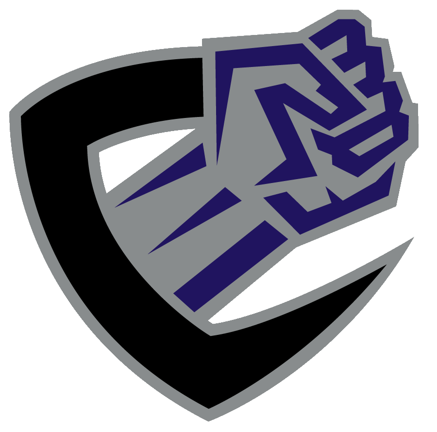 Chicago Enforcers logo