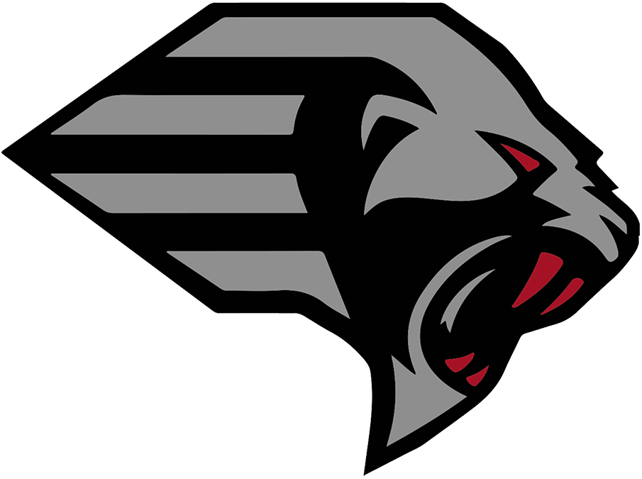 New York Guardians logo